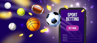 Make your bets count with Vivi’s incredible platform and options 7 Make your bets count with Vivi’s incredible platform and options 7