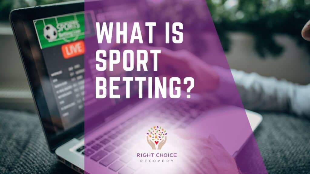 Betting Apps With Gesture Controls 17