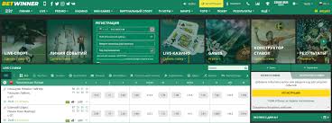 كل ما تحتاج معرفته عن عالم الـ Casino 0