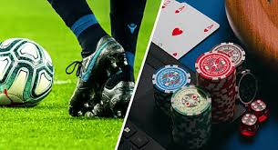 Explore the Exciting World of bd333 bet 3