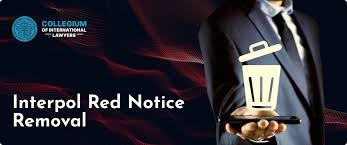 The Allure of Celebrity Criminal Defense Lawyers Protectors of the Famous The Allure of Celebrity Criminal Defense Lawyers Protectors of the Famous