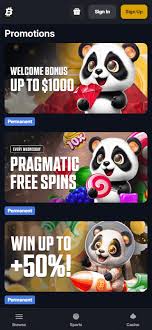 The Future of Crypto Betting Bots Profitability Explained The Future of Crypto Betting Bots Profitability Explained