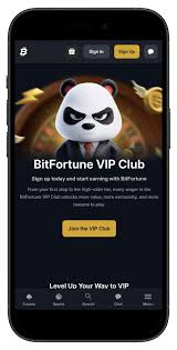 Bitfortune for Casual Players A Comprehensive Setup Guide Bitfortune for Casual Players A Comprehensive Setup Guide